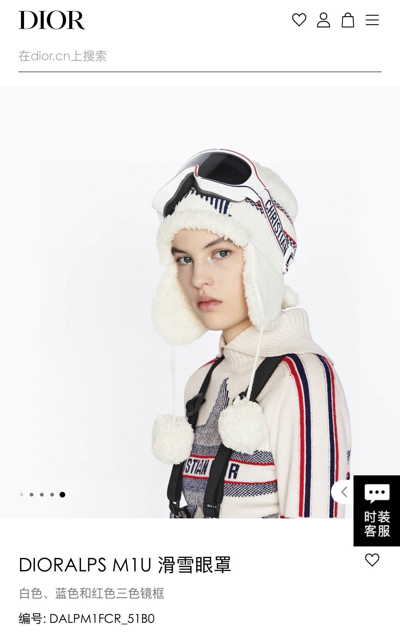 Dior Ski Goggles