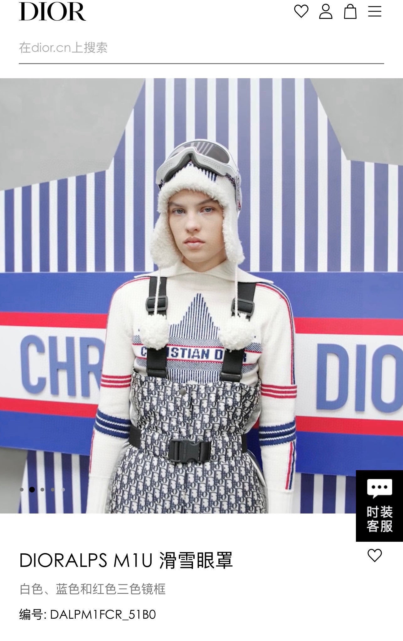 Dior Ski Goggles